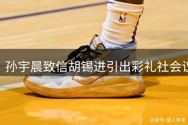 孙宇晨致信胡锡进引出彩礼社会议题