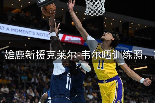 雄鹿新援克莱尔-韦尔晒训练照，高出手点投篮引发热议